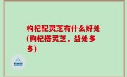 枸杞配灵芝有什么好处(枸杞搭灵芝，益处多多)