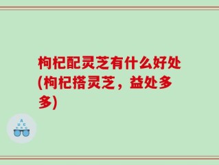 枸杞配灵芝有什么好处(枸杞搭灵芝，益处多多)