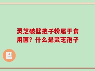 灵芝破壁孢子粉属于食用菌？什么是灵芝孢子