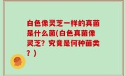 白色像灵芝一样的真菌是什么菌(白色真菌像灵芝？究竟是何种菌类？)