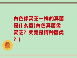 白色像灵芝一样的真菌是什么菌(白色真菌像灵芝？究竟是何种菌类？)