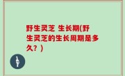 野生灵芝 生长期(野生灵芝的生长周期是多久？)