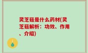 灵芝菇是什么药材(灵芝菇解析：功效、作用、介绍)