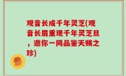 观音长成千年灵芝(观音长眉重现千年灵芝旦，邀你一同品鉴天赐之珍)