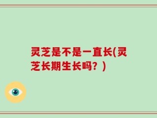 灵芝是不是一直长(灵芝长期生长吗？)