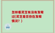 怎样看灵芝有没有发霉过(灵芝是否存在发霉情况？)