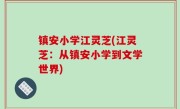 镇安小学江灵芝(江灵芝：从镇安小学到文学世界)
