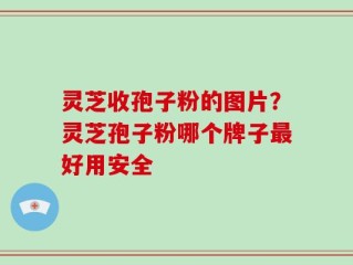 灵芝收孢子粉的图片？灵芝孢子粉哪个牌子最好用安全