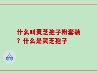 什么叫灵芝孢子粉套装？什么是灵芝孢子