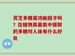 灵芝多糖是功能因子吗？在植物真菌类中提取的多糖对人体有什么好处