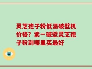 灵芝孢子粉低温破壁机价格？紫一破壁灵芝孢子粉到哪里买最好