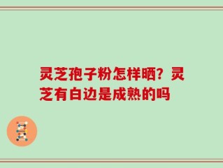 灵芝孢子粉怎样晒？灵芝有白边是成熟的吗