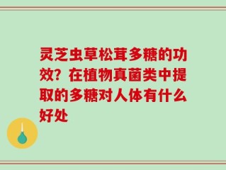 灵芝虫草松茸多糖的功效？在植物真菌类中提取的多糖对人体有什么好处