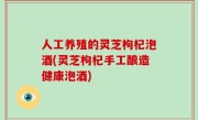 人工养殖的灵芝枸杞泡酒(灵芝枸杞手工酿造健康泡酒)