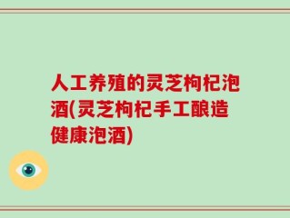 人工养殖的灵芝枸杞泡酒(灵芝枸杞手工酿造健康泡酒)
