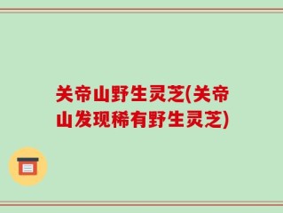 关帝山野生灵芝(关帝山发现稀有野生灵芝)