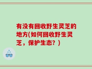 有没有回收野生灵芝的地方(如何回收野生灵芝，保护生态？)