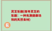 灵芝乐趣(探寻灵芝的乐趣：一种充满健康功效的天然食材)