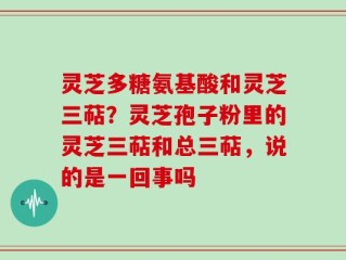 灵芝多糖氨基酸和灵芝三萜？灵芝孢子粉里的灵芝三萜和总三萜，说的是一回事吗