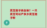 灵芝孢子肉合体？一只灵芝可以产多少灵芝孢子粉