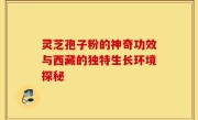 灵芝孢子粉的神奇功效与西藏的独特生长环境探秘