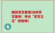 鹤岗灵芝基地(白林灵芝基地：寻访“灵芝之王”的秘境)