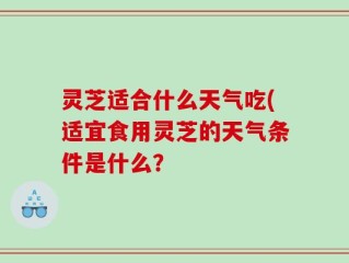 灵芝适合什么天气吃(适宜食用灵芝的天气条件是什么？