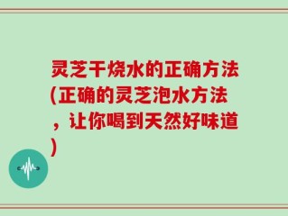 灵芝干烧水的正确方法(正确的灵芝泡水方法，让你喝到天然好味道)