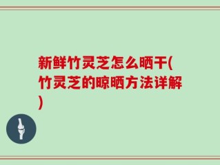 新鲜竹灵芝怎么晒干(竹灵芝的晾晒方法详解)