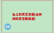 山上的灵芝泡酒(山林间的灵芝酿美酒)