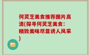 何灵芝美食推荐图片高清(探寻何灵芝美食：精致美味尽显诱人风采)