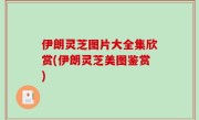 伊朗灵芝图片大全集欣赏(伊朗灵芝美图鉴赏)