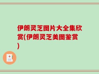 伊朗灵芝图片大全集欣赏(伊朗灵芝美图鉴赏)