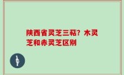 陕西省灵芝三萜？木灵芝和赤灵芝区别