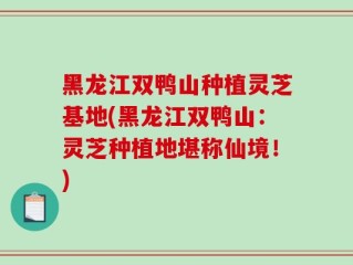 黑龙江双鸭山种植灵芝基地(黑龙江双鸭山：灵芝种植地堪称仙境！)