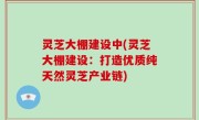 灵芝大棚建设中(灵芝大棚建设：打造优质纯天然灵芝产业链)