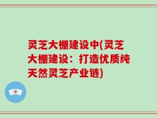 灵芝大棚建设中(灵芝大棚建设：打造优质纯天然灵芝产业链)