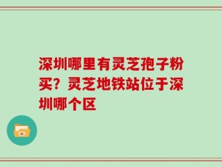 深圳哪里有灵芝孢子粉买？灵芝地铁站位于深圳哪个区