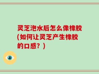 灵芝泡水后怎么像橡胶(如何让灵芝产生橡胶的口感？)
