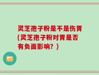 灵芝孢子粉是不是伤胃(灵芝孢子粉对胃是否有负面影响？)