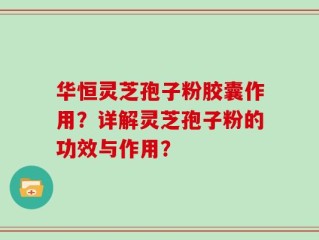 华恒灵芝孢子粉胶囊作用？详解灵芝孢子粉的功效与作用？