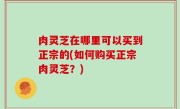 肉灵芝在哪里可以买到正宗的(如何购买正宗肉灵芝？)