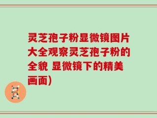 灵芝孢子粉显微镜图片大全观察灵芝孢子粉的全貌 显微镜下的精美画面)