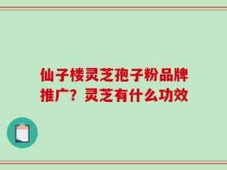 仙子楼灵芝孢子粉品牌推广？灵芝有什么功效