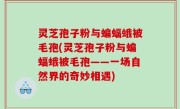 灵芝孢子粉与蝙蝠蛾被毛孢(灵芝孢子粉与蝙蝠蛾被毛孢——一场自然界的奇妙相遇)