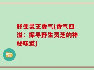 野生灵芝香气(香气四溢：探寻野生灵芝的神秘味道)