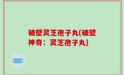 破壁灵芝孢子丸(破壁神奇：灵芝孢子丸)