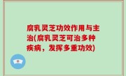 腐乳灵芝功效作用与主治(腐乳灵芝可治多种疾病，发挥多重功效)