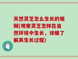 天然灵芝怎么生长的视频(观察灵芝怎样在自然环境中生长，详细了解其生长过程)