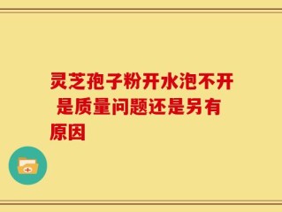 灵芝孢子粉开水泡不开 是质量问题还是另有原因